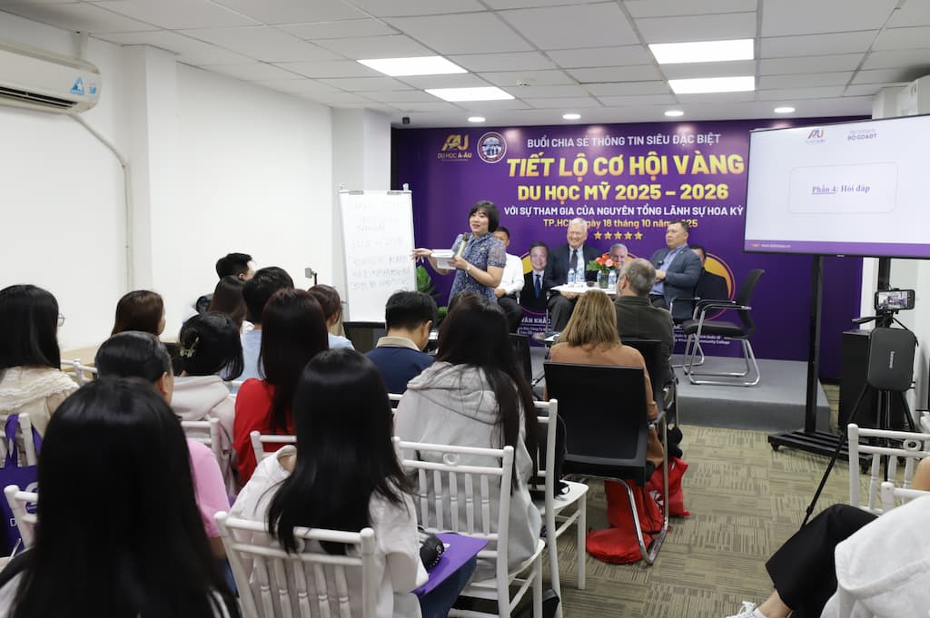 Hoạt động Đội ngũ