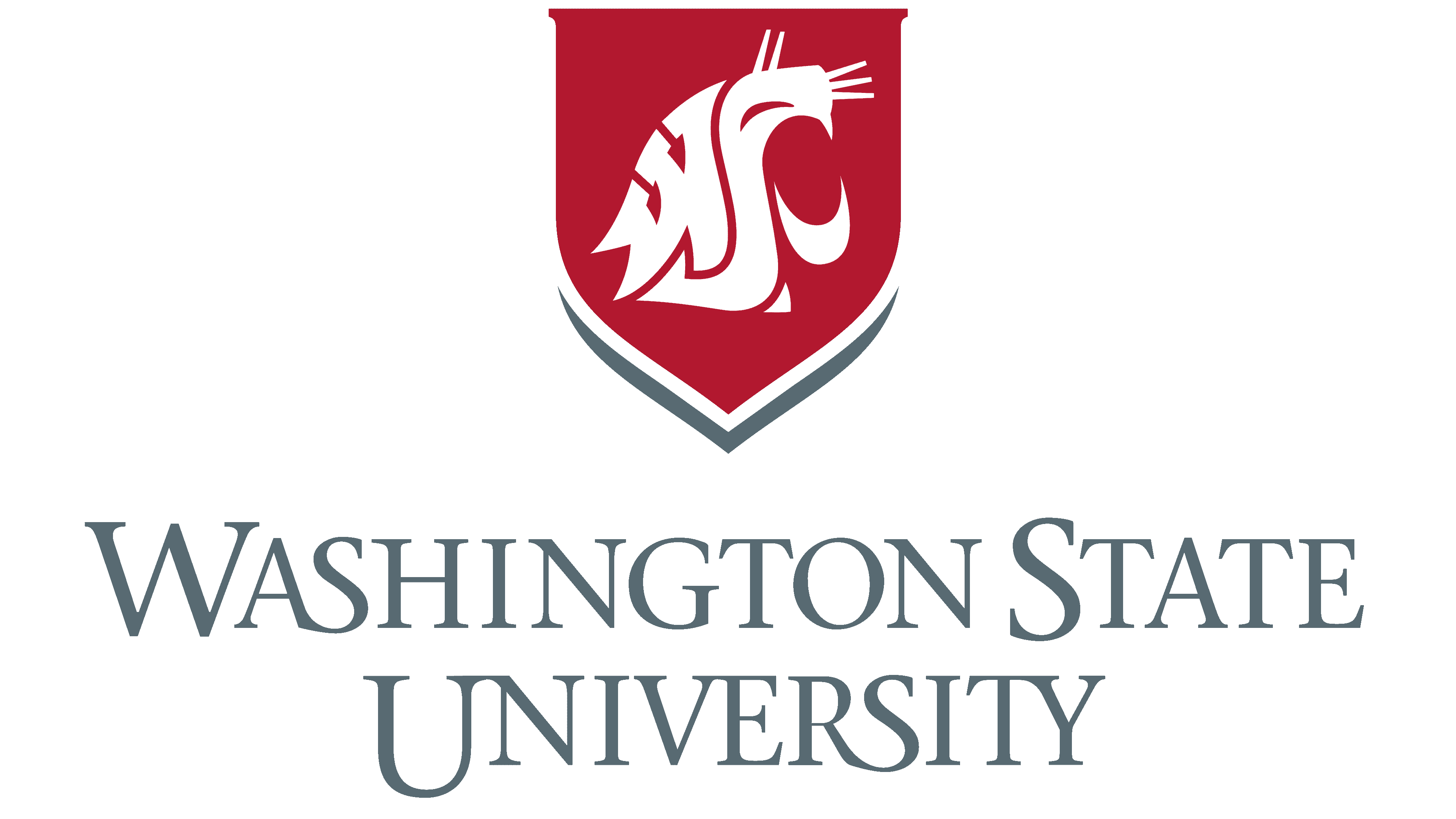 Washington State University