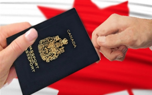 Du học Canada ngành nghề nào để được định cư?