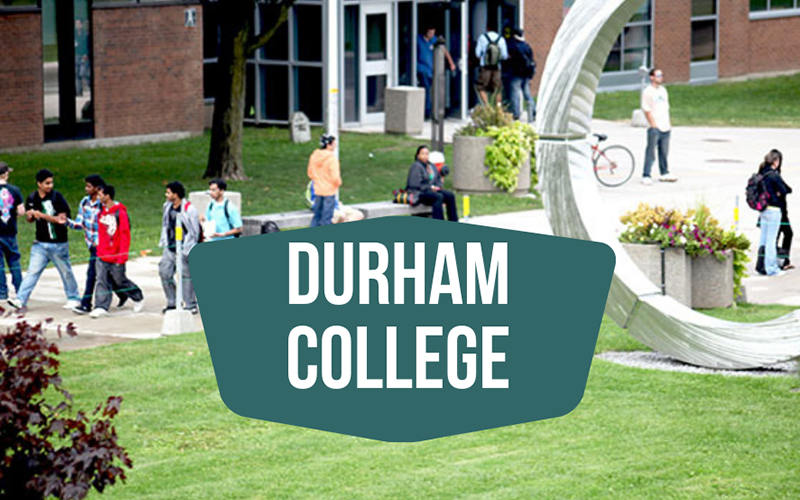Khám phá chương trình học chuyển tiếp tại Trường Cao đẳng Durham College