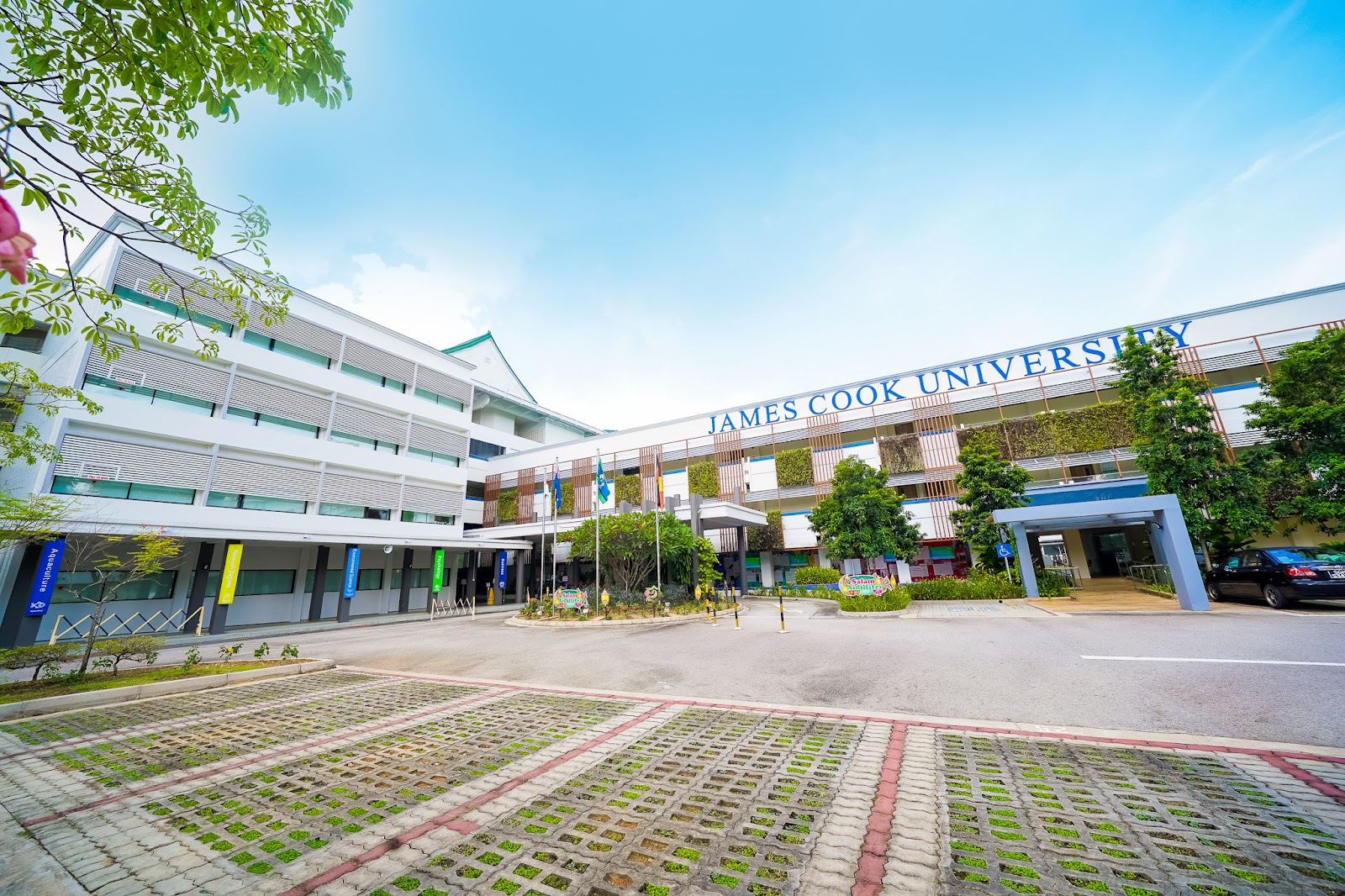 KHAI GIẢNG KHÓA TIẾNG ANH ELPP (ENGLISH LANGUAGE PREPARATORY PROGRAM) TẠI  JAMES COOK UNIVERSITY SINGAPORE